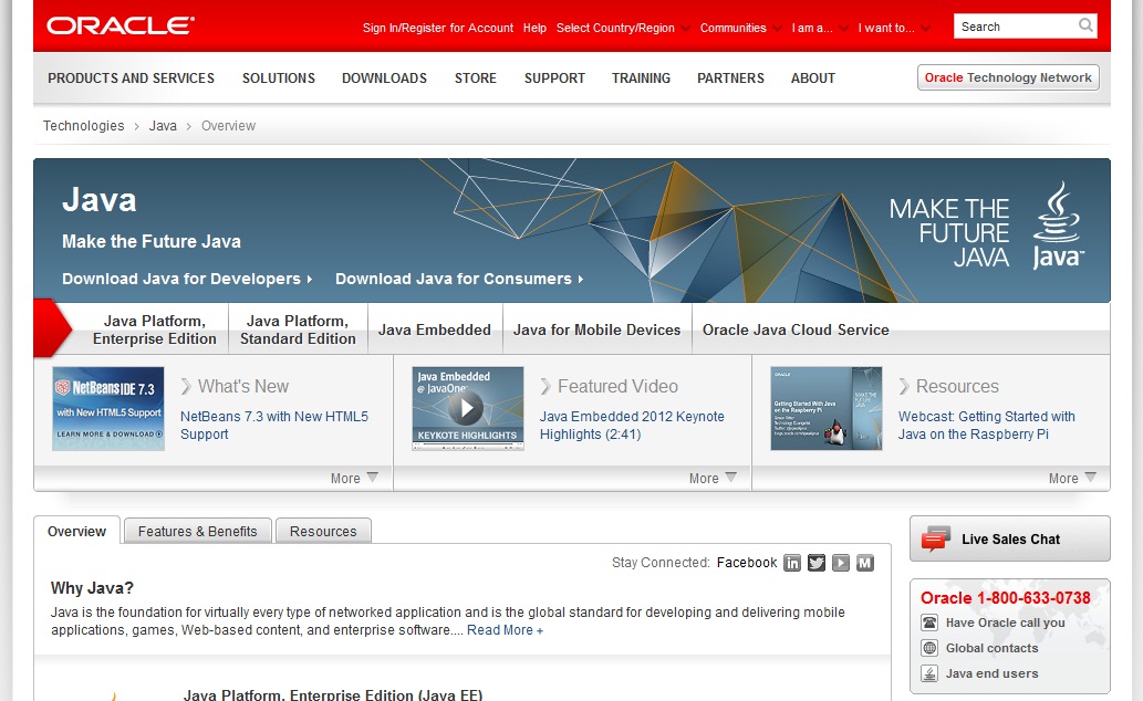 Files which can be opened by Java Runtime Environment